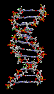 moleculas